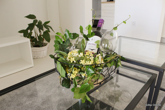 Marina Silba No. 3 photo 3