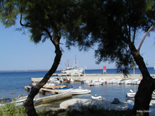 Silba island nature photo 17