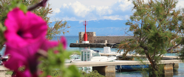 Apartment Marina Silba No. 2 on Silba island