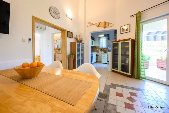 Oliva photo 19