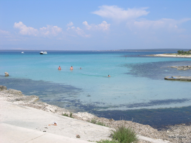 Silba island nature photo 11