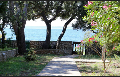 Apartment Ivana on Silba island