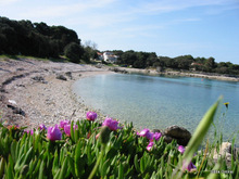 Silba island nature photo 20
