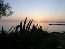 Silba island nature photo 22