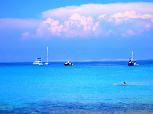 Silba island nature photo 12
