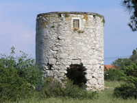 Silba island nature photo 3